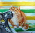 Фотография Стариченков Николай