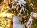 Іра Земняк фотография #8 (источник - https://vk.com/id134428979)