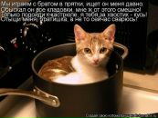 Світлана Блашко фотография #25 (источник - https://vk.com/id50099462)