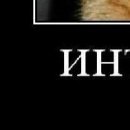 Ірина Пасічник фотография #30 (источник - https://vk.com/id89136098)