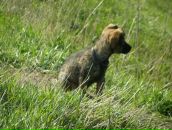 Фотография Батаренко Лёхи