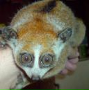 Фотография Грознова Димы