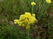 Андрій Шевчук фотография #34 (источник - https://vk.com/id12672699)