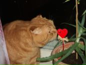 Фотография Павличенко Руслана