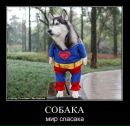 Фотография Квасникова Романа