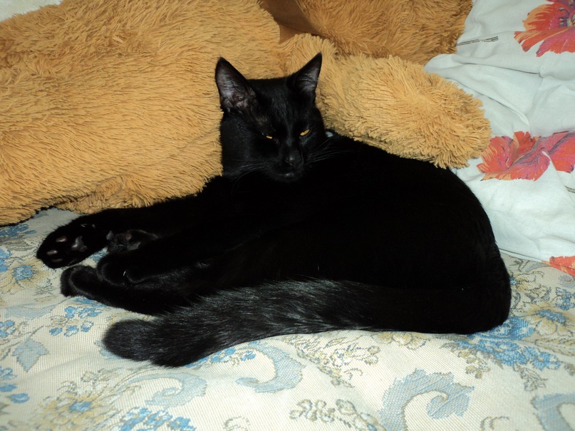 K@s!!!*** Офигенный фотография #8