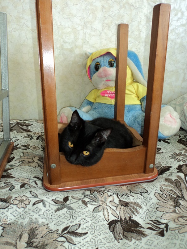 K@s!!!*** Офигенный фотография #21