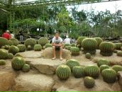 Фотография Васильева Дениса