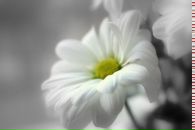 Фотография Архиповой Анны