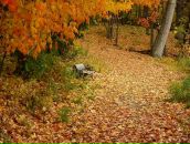 Фотография Мойкомпасземной Надежды