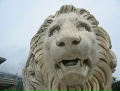 Фотография Симановича Александра