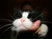 Фотография Мамбет-Али Юлии