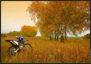 Фотография Асташкина Никиты