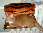 Фотография Лены Лены