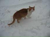 Фотография Гринченко Ксении