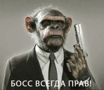 Угарный Мальчишка фотография #25 (источник - https://vk.com/id81366889)