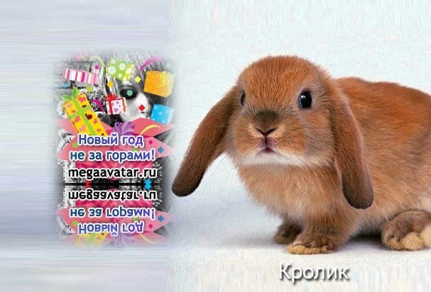 Дашулька Кузнецова фотография #46