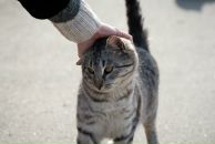 Фотография Новичихина Владимира