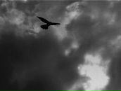 Stew Boy фотография #35 (источник - https://vk.com/id657597)