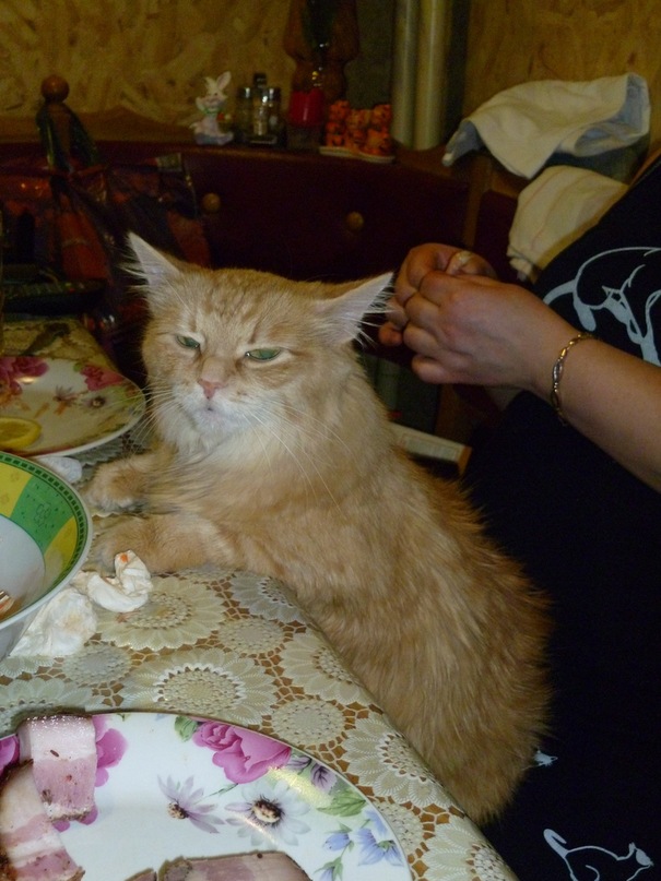 Ё-ё Ё-ё фотография #1