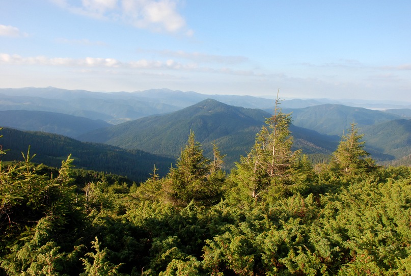 Сергей Серов фотография #31