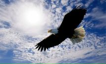 Юрій Мочернюк фотография #11 (источник - https://vk.com/id15888389)