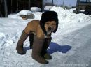 Олег Макеев фотография #6 (источник - https://vk.com/id154222008)