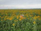 Фотография Ahmadullina Natalie