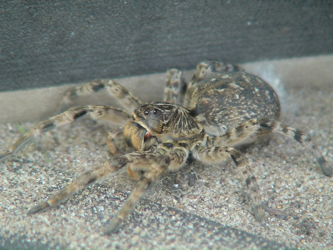 Дмитрий Скачков фотография #31