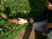 Фотография Халирахманова Наиля