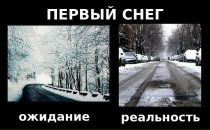 Давід Дзамулич фотография #31 (источник - https://vk.com/id56919286)