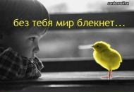 Дмитрий Полежаев фотография #24 (источник - https://vk.com/id763003)