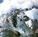 Діма Гончар фотография #14 (источник - https://vk.com/id61644361)