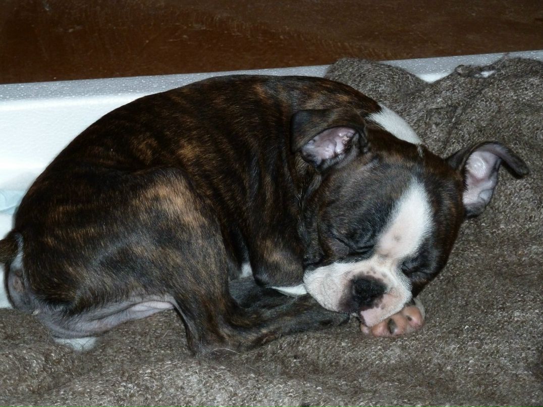 Дмитрий Павличенко фотография #44