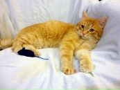 Фотография Шушпановой Екатерины