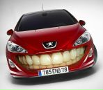 Фотография Грибова Александра