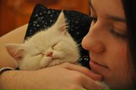 Фотография Овчаренко Дарьи