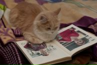 Фотография Федёхи Татьяны