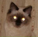 Фотография Филановой Татьяны