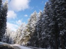 Марія Мельник фотография #10 (источник - https://vk.com/id135547975)
