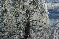 Оксана Мєльзарек фотография #31 (источник - https://vk.com/id13762583)