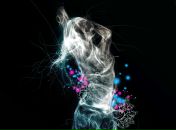 Фотография Бехтеровой Натальи