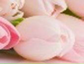 Елена Лебедева фотография #41 (источник - https://vk.com/id78795101)