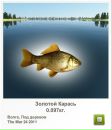 Діма Карпов фотография #43 (источник - https://vk.com/id127787496)