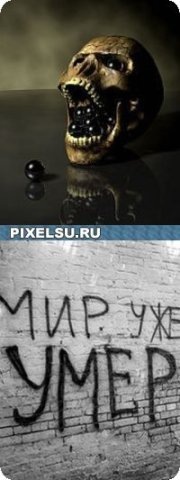 №17, Павел Перцев, 36 лет, Москва №17, Павел Перцев, 36 лет, Москва