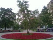 Фотография Михайловой Айгюн