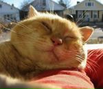 Фотография Борисовой Ольги