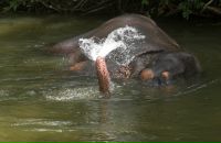 Даша Дашина фотография #29 (источник - https://vk.com/id2891457)