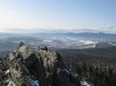 Фотография Пернатой Совы