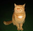 Фотография Муравьёва Владимира